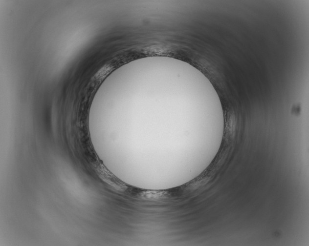 X0000111580526200907161159
