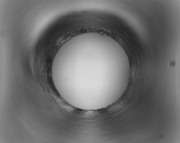 X0000111580527200907161159