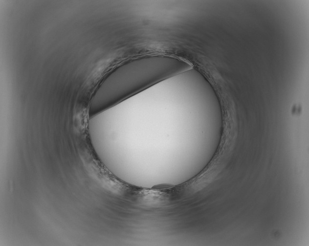X0000111580528200907161159