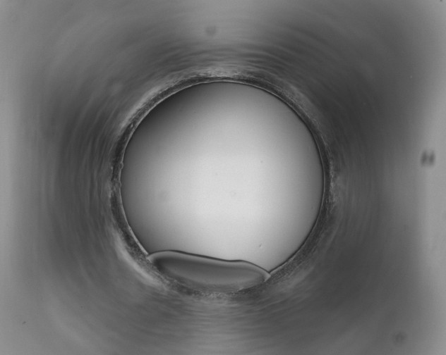 X0000111580530200907161158