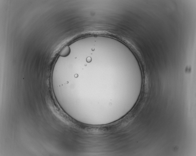X0000111580533200907161158