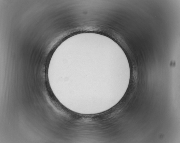 X0000111580534200907161158