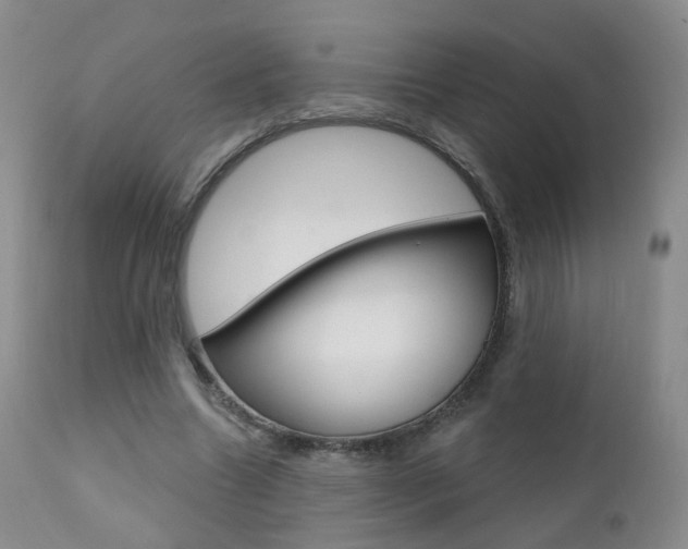 X0000111580538200907161158