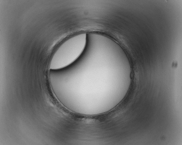 X0000111580539200907161158