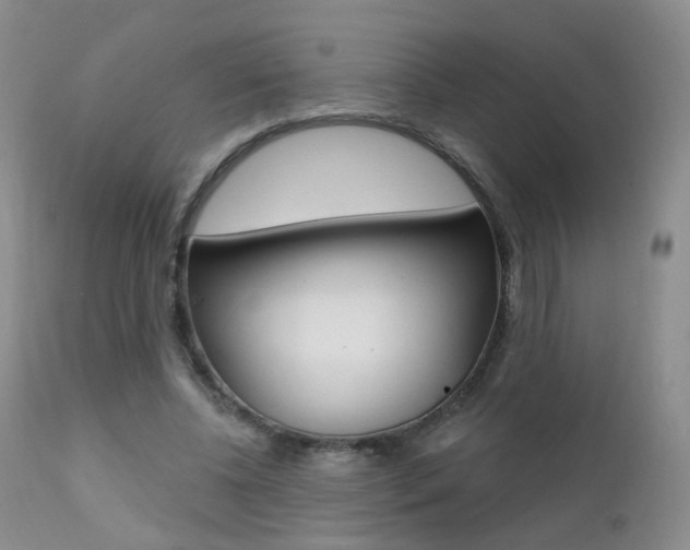 X0000111580540200907161158