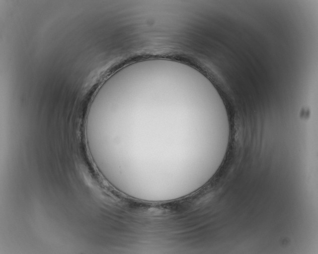 X0000111580542200907161158