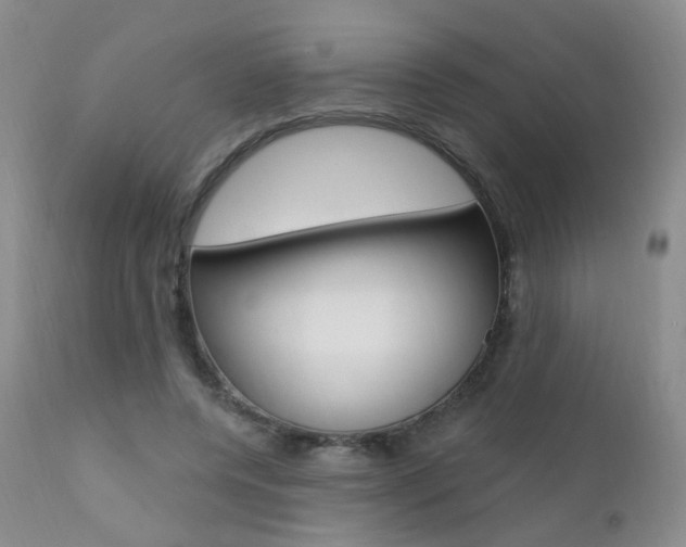 X0000111580544200907161158