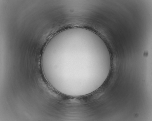 X0000111580545200907161158