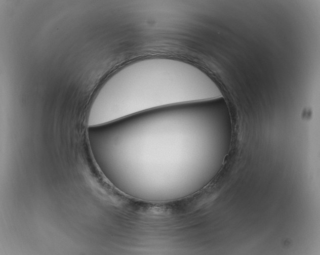 X0000111580546200907161158