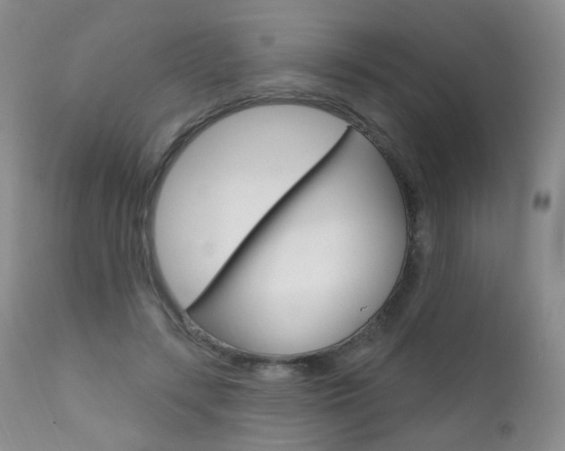 X0000111580547200907161158