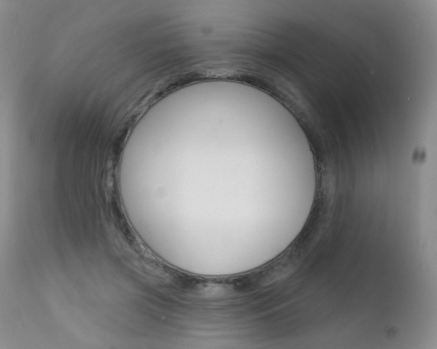 X0000111580549200907161158