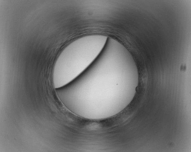 X0000111580551200907161158