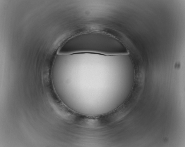 X0000111580552200907161158