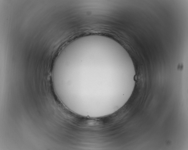 X0000111580555200907161158