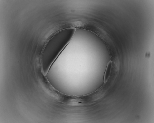 X0000111580556200907161158