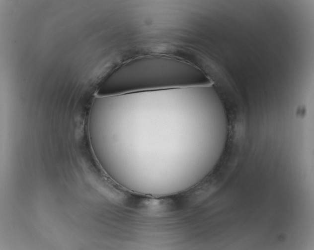 X0000111580558200907161158
