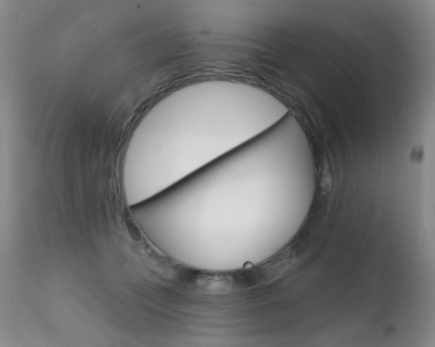 X0000111580559200907161158