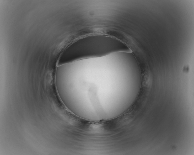 X0000111580560200907161158