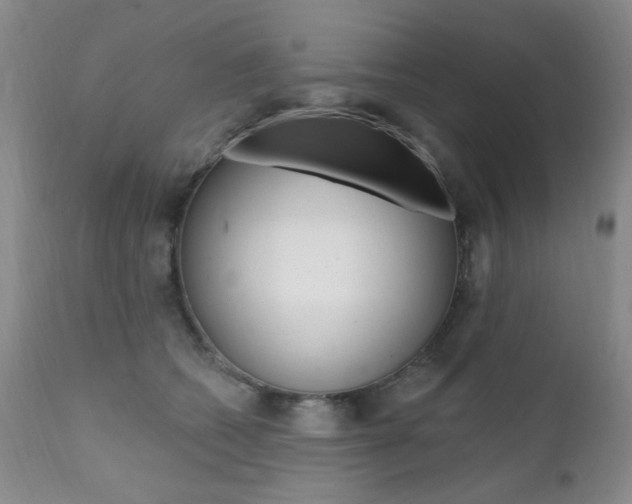 X0000111580562200907161158