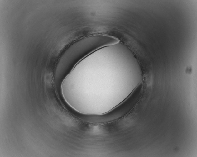 X0000111580564200907161158
