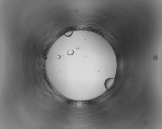 X0000111580565200907161158