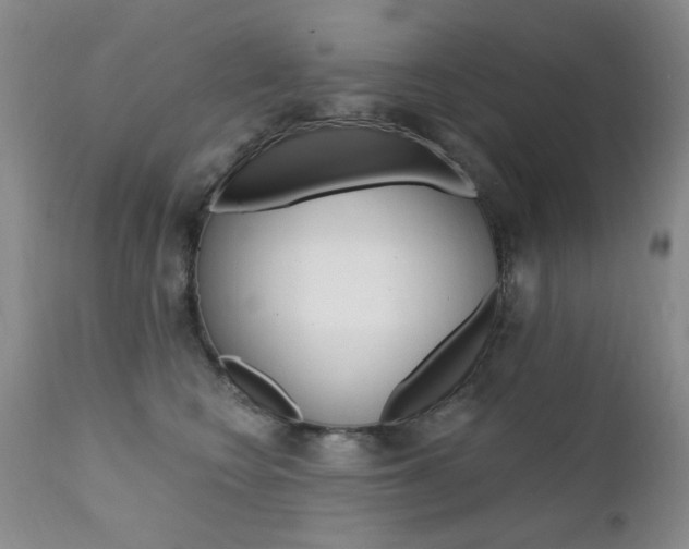 X0000111580566200907161158