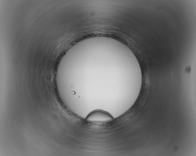 X0000111580567200907161158