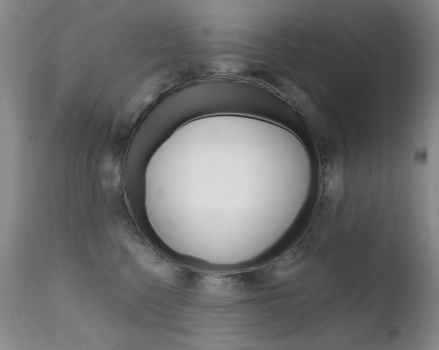 X0000111580568200907161158