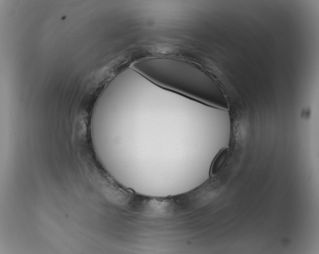X0000111580570200907161159