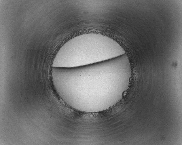 X0000111580571200907161159