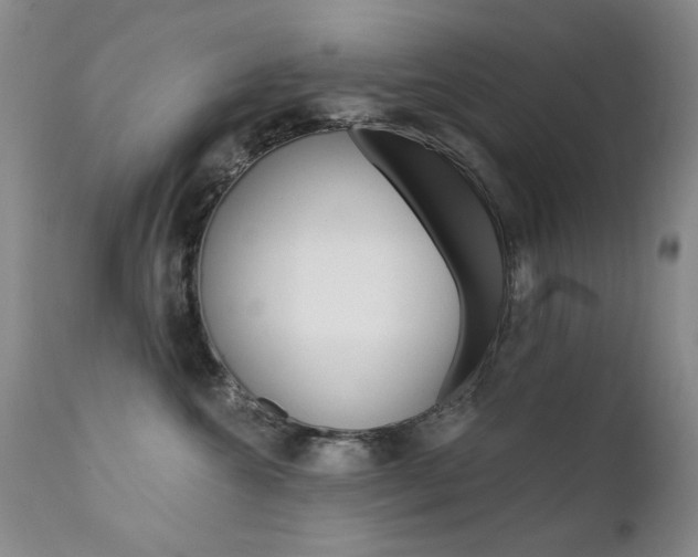 X0000111580572200907161159