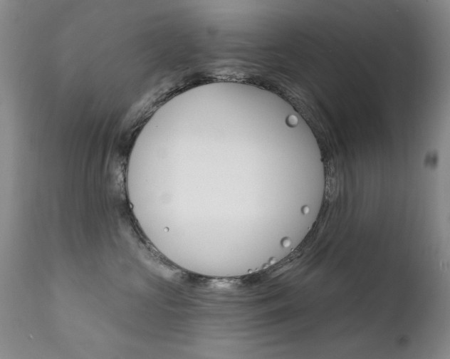 X0000111580573200907161159