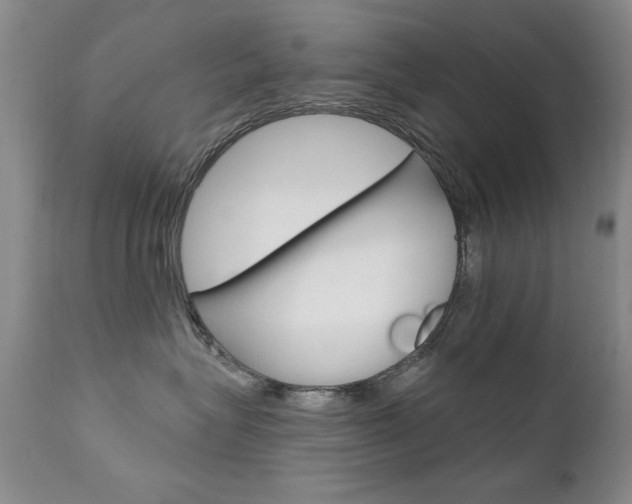 X0000111580575200907161159