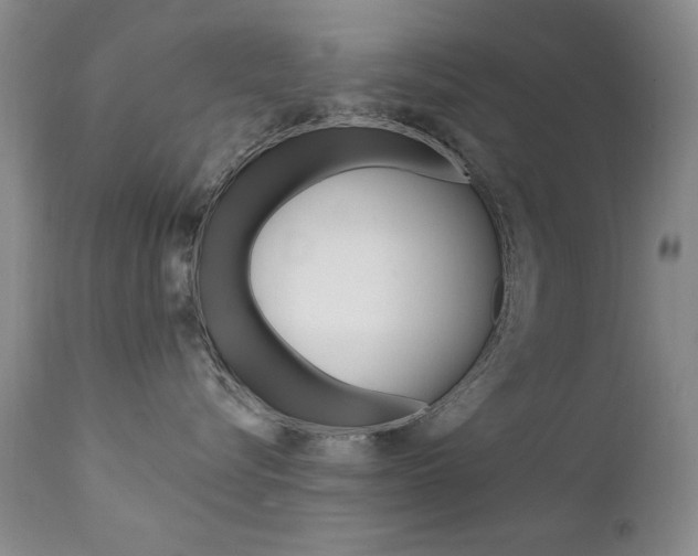 X0000111580576200907161159
