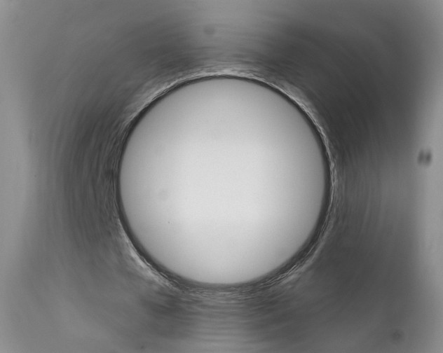 X0000111580577200907161158