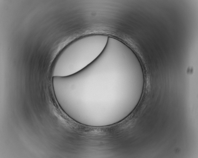 X0000111580578200907161158