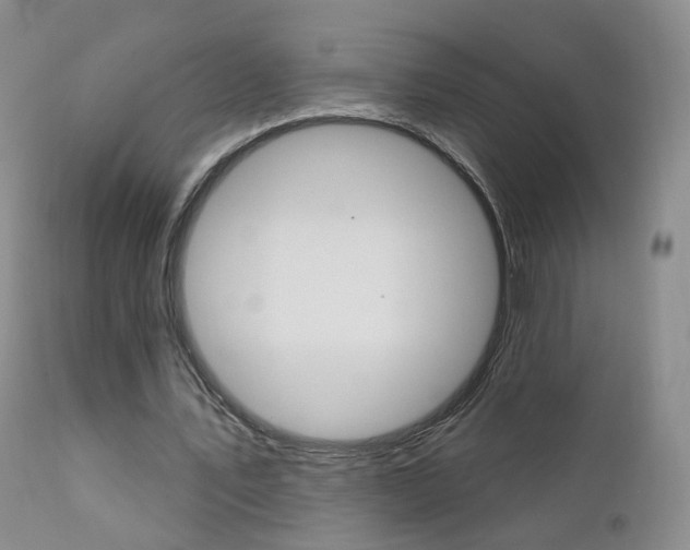 X0000111580579200907161158
