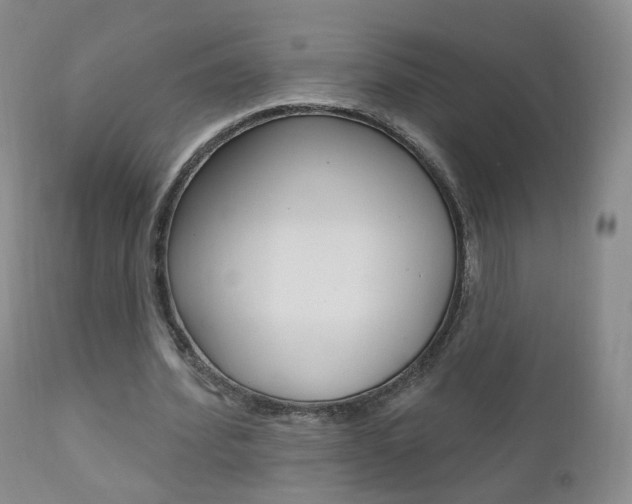 X0000111580580200907161158