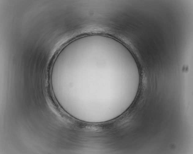 X0000111580582200907161158
