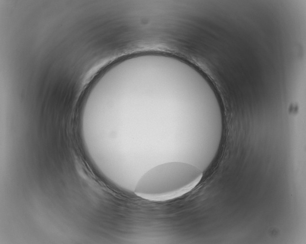 X0000111580583200907161158