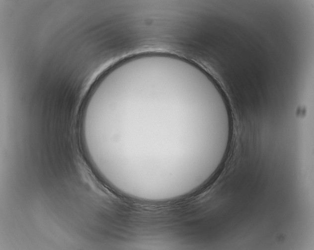 X0000111580584200907161158