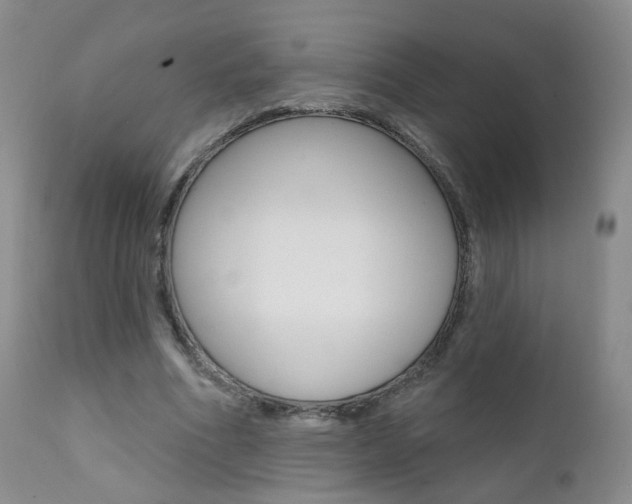 X0000111580586200907161158