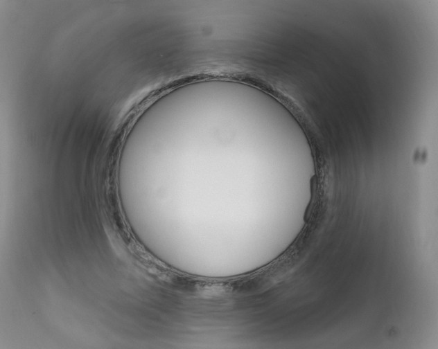 X0000111580587200907161158