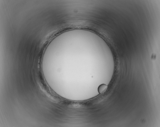 X0000111580590200907161158