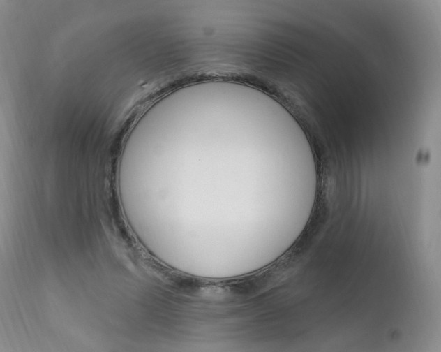 X0000111580591200907161158