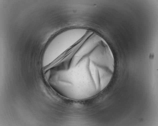 X0000111580592200907161158