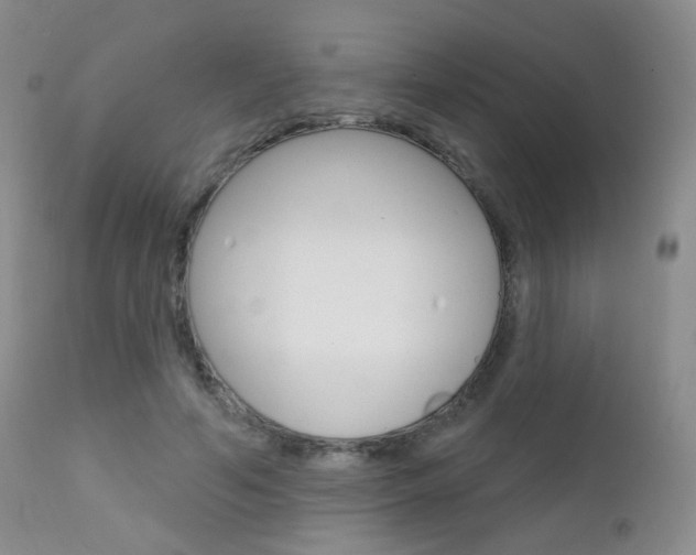 X0000111580594200907161158