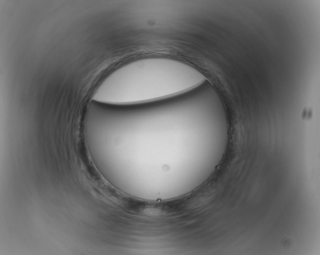 X0000111580596200907161158