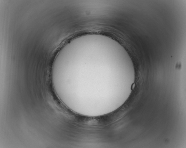 X0000111580600200907161158