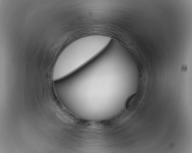 X0000111580601200907161158